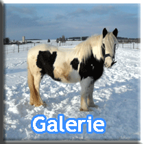 galerie